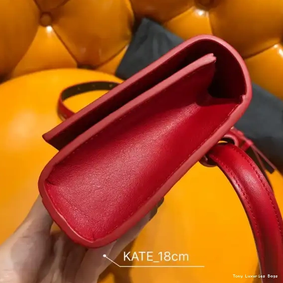 Tony Luxuries SMALL KATE YSL 0504